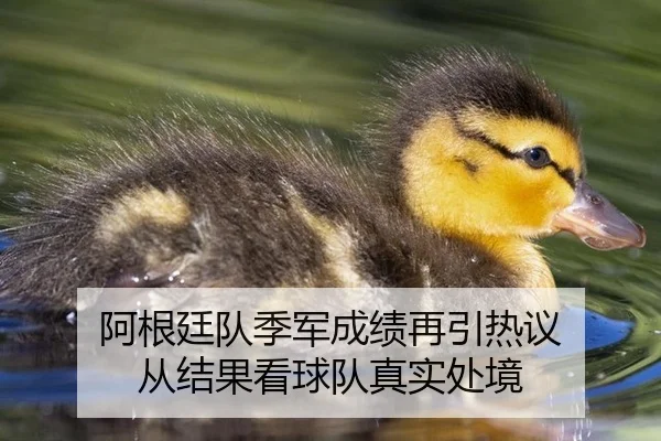 阿根廷队季军成绩再引热议 从结果看球队真实处境（xingkong）